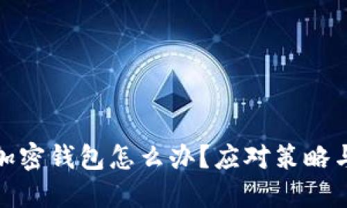 推特停止加密钱包怎么办？应对策略与解决方案